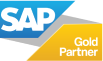 Recurso 1SAP gold partner logo 1024x601 1 1