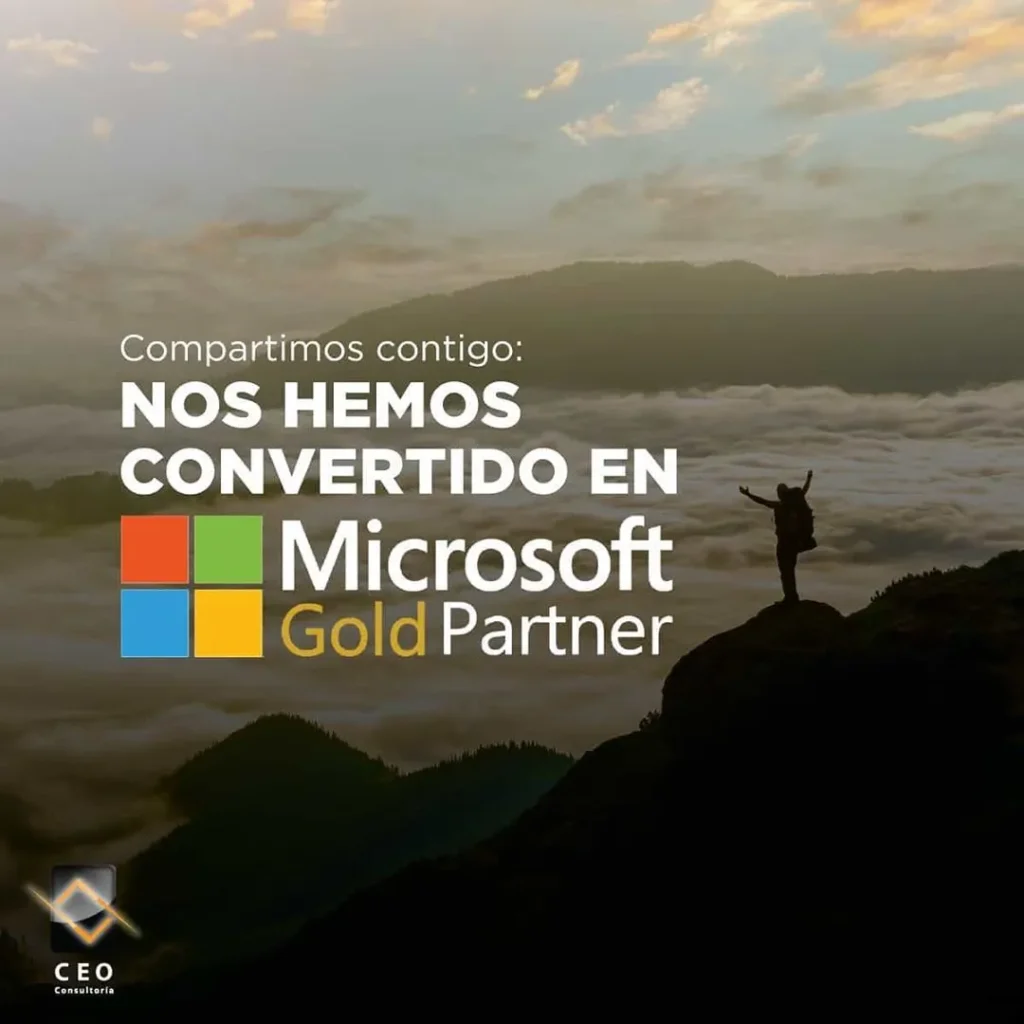 microsoftGOLDpartner